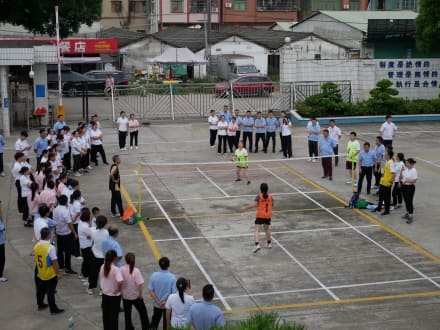 Sports Day