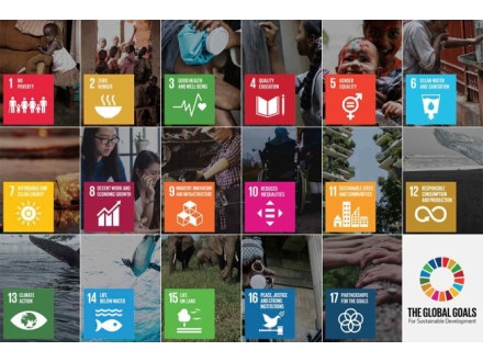 SDGs